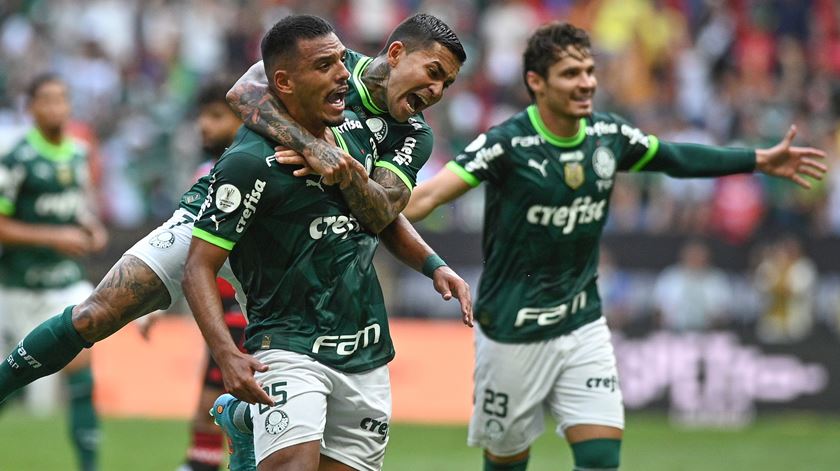 Brasileirão. Palmeiras de Abel volta às vitórias, Caixinha reforça segundo lugar
