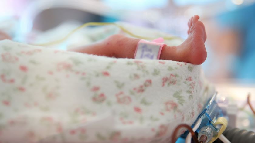 Teste do pezinho: mais 207 bebés rastreados no primeiro trimestre face a 2024