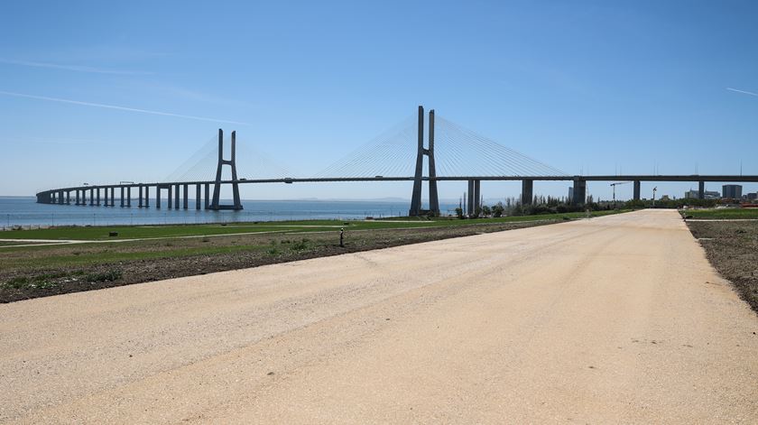 JMJ 2023. C&#226;mara de Lisboa manifesta &quot;alguma ansiedade&quot; sobre plano de mobilidade