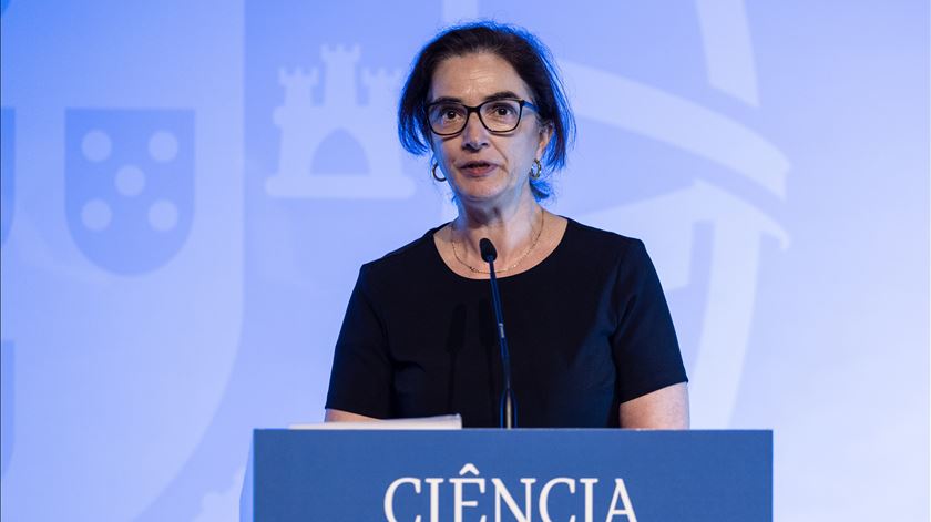 Reitor da Nova congela pedidos de acumulação de funções, ex-ministra refuta ilegalidades