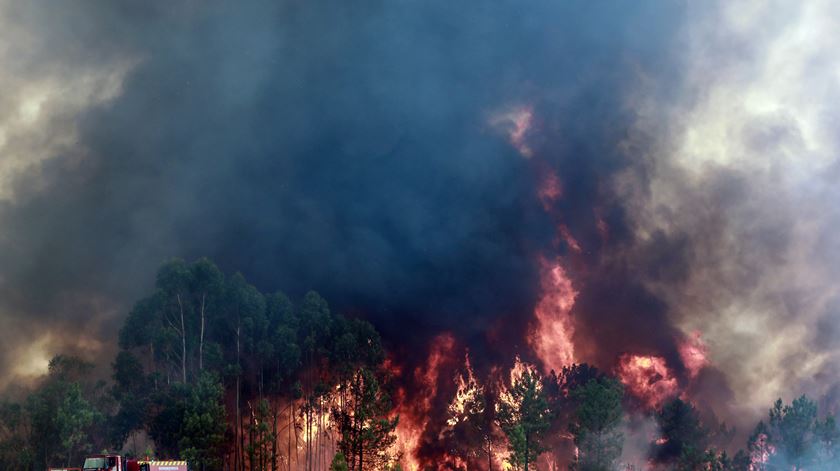 Incêndio em Proença-a-Nova. Foto: Miguel Pereira Da Silva/Lusa