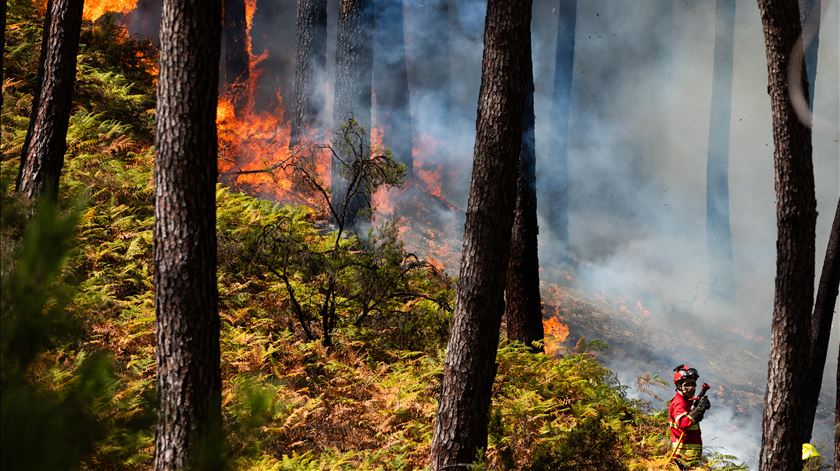 Incêndios. Situação difícil em Baião, trabalhos finais em Carrazeda de Ansiães