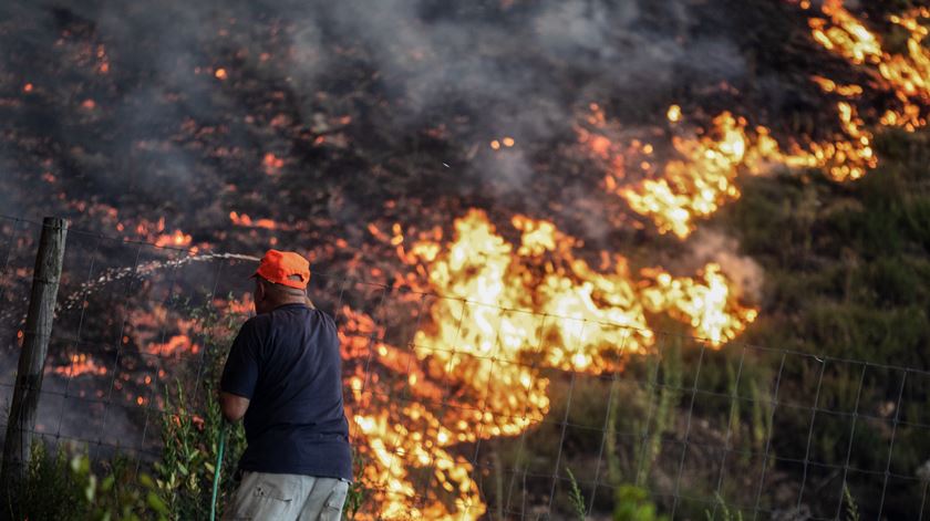 Foto: Paulo Cunha/Lusa