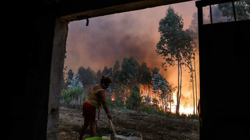 Foto: Paulo Cunha/Lusa