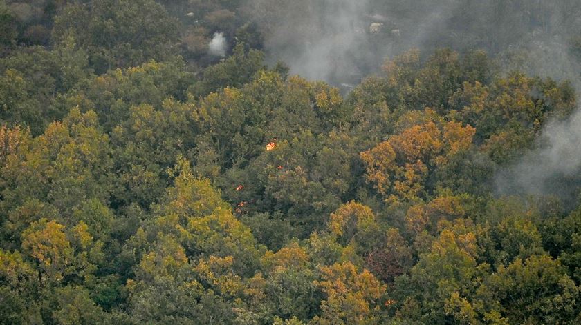 Incêndios em Evros, Grécia. Foto: Dimitris Alexoudis/EPA