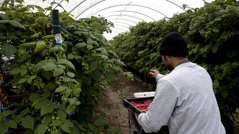 ​Câmara de Odemira considera “desproporcional” cerca sanitária a duas freguesias