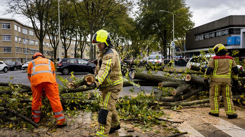 Foto: Sem Van Der Wal/EPA