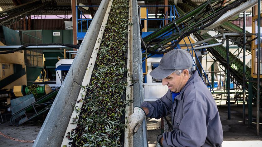 Estudo defende cadeias curtas de distribuição e "simplex" agrário na região Norte