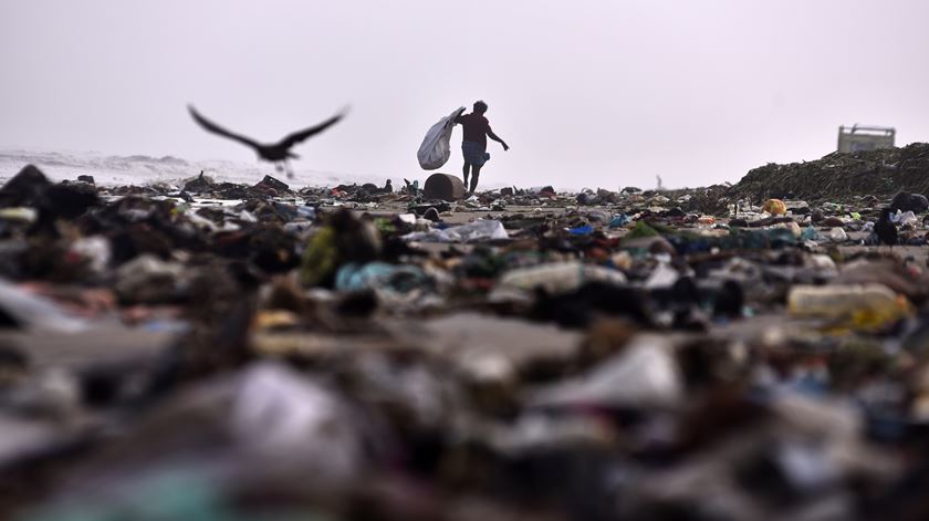Plásticos representam perigo “grave e crescente” desde o nascimento até à velhice, revela estudo