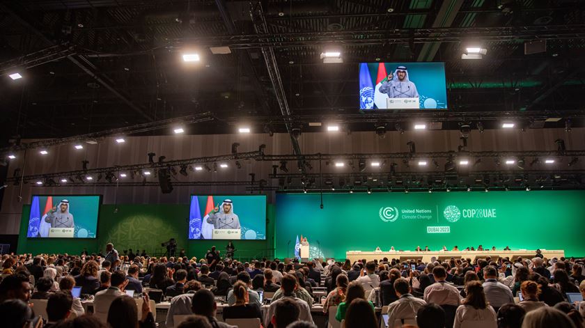 "Há excelentes indicações, mas também falsas soluções", diz ZERO sobre o acordo alcançado na COP28