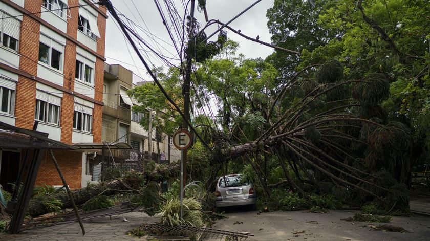 Fotos: Daniel Marenco/EPA