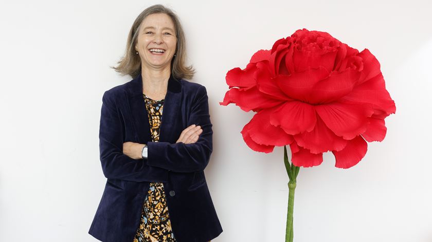 Maria Inácia Rezola: "Eliminação do preâmbulo não alteraria a essência da Constituição"