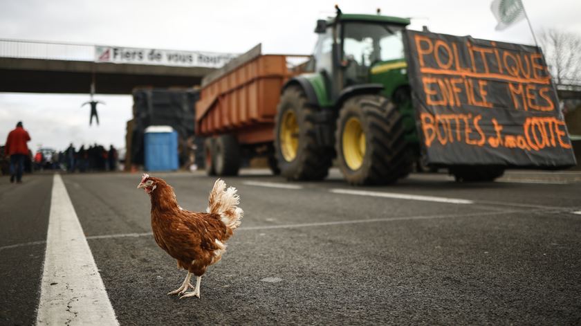 Bloqueio em França. "Se continuar, terá relevância para agricultura portuguesa"
