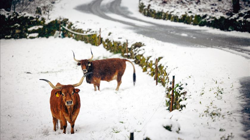 Segunda-feira (muito) cinzenta. Previsão de chuva, granizo, vento forte e neve