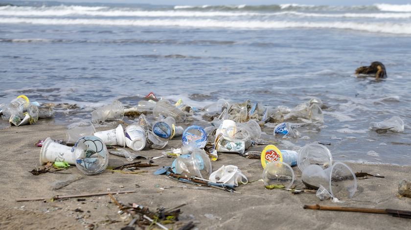 Oceanos. Mais de 90 países pedem tratado ambicioso para reduzir plásticos