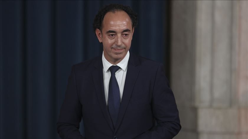 Governo está a trabalhar para mitigar prejuízos causados pelos javalis
