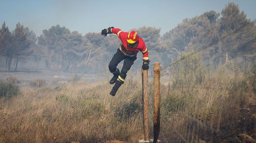 Fogo em Cinfães foi dominado ao meio-dia