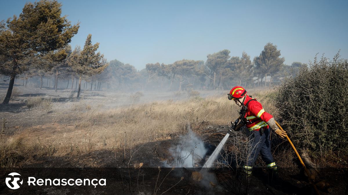 Dezassete focos de incêndio em Celorico de Basto: autarca fala em "mão criminosa"