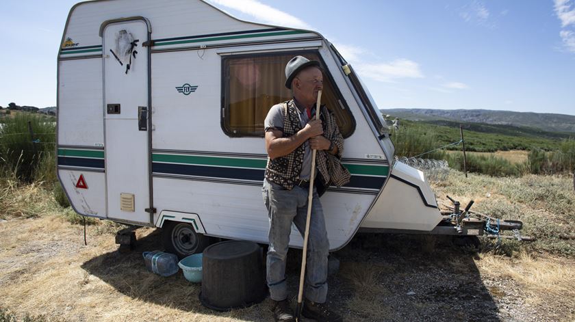 Único pastor transumante de Gouveia guarda 500 ovelhas no verão na serra da Estrela. Foto: Miguel Pereira Da Silva/Lusa