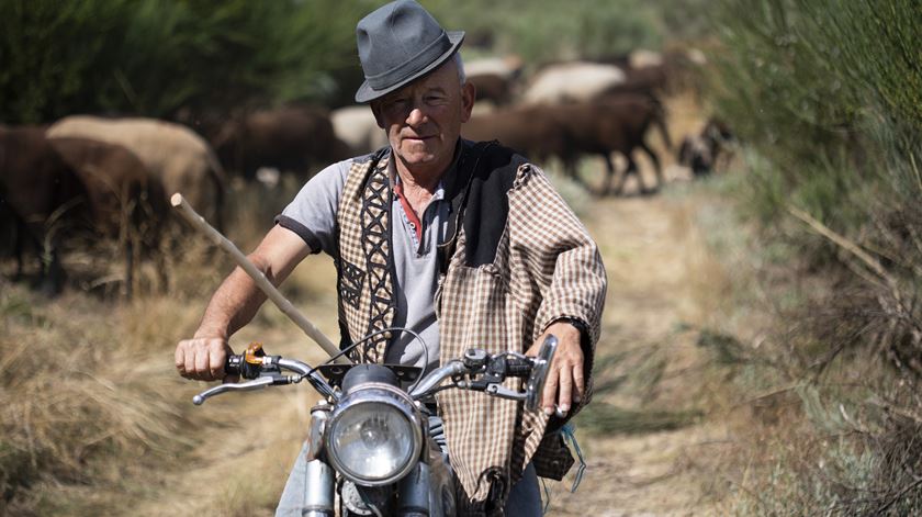 Único pastor transumante de Gouveia guarda 500 ovelhas no verão na serra da Estrela. Foto: Miguel Pereira Da Silva/Lusa