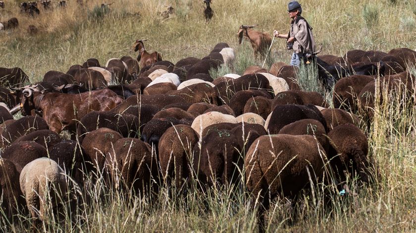 Fotos: Miguel Pereira Da Silva/Lusa