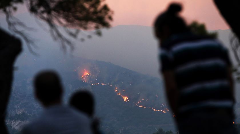 Grécia viveu o julho mais quente de 2024 desde que os registos começaram a ser feitos em 1960. Foto: George Vitsaras/EPA