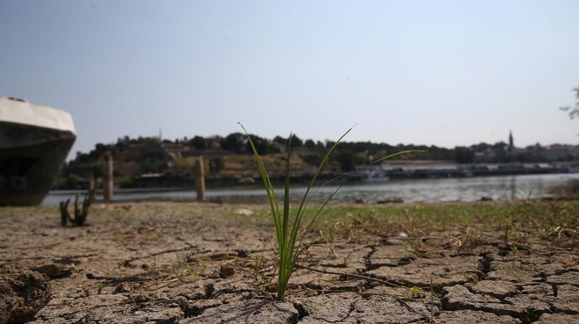 Justiça social. Plataforma católica pede medidas "imediatas e corajosas"