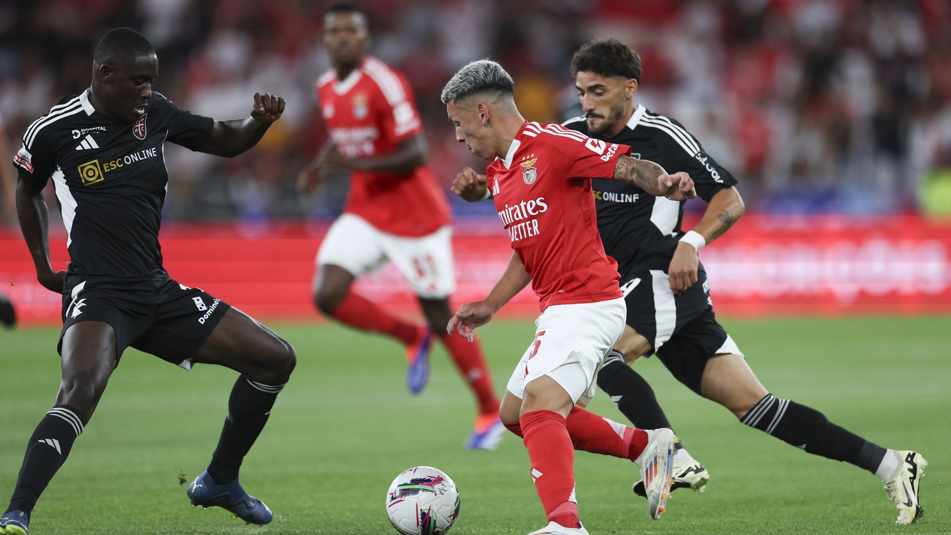 Em direto. Benfica - Casa Pia