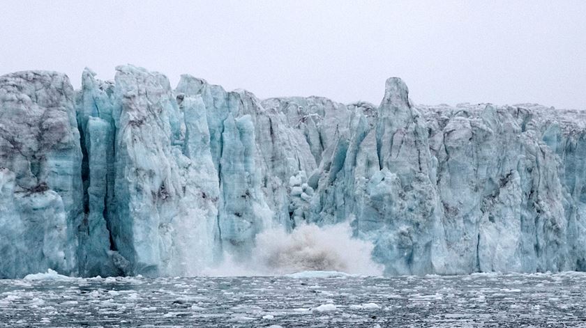 Igreja desafiada a fazer mais pelo ambiente. "Há muito trabalho já feito e isso dá-nos ânimo"