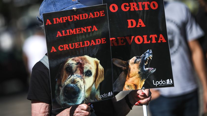 Marcha pelos direitos dos animais junta duas centenas em Lisboa. Foto: Rodrigo Antunes/Lusa