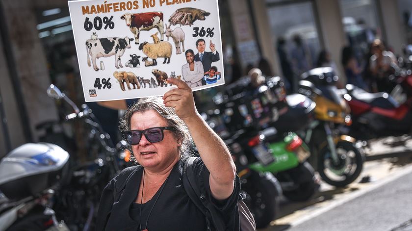 Marcha pelos direitos dos animais junta duas centenas em Lisboa. Foto: Rodrigo Antunes/Lusa