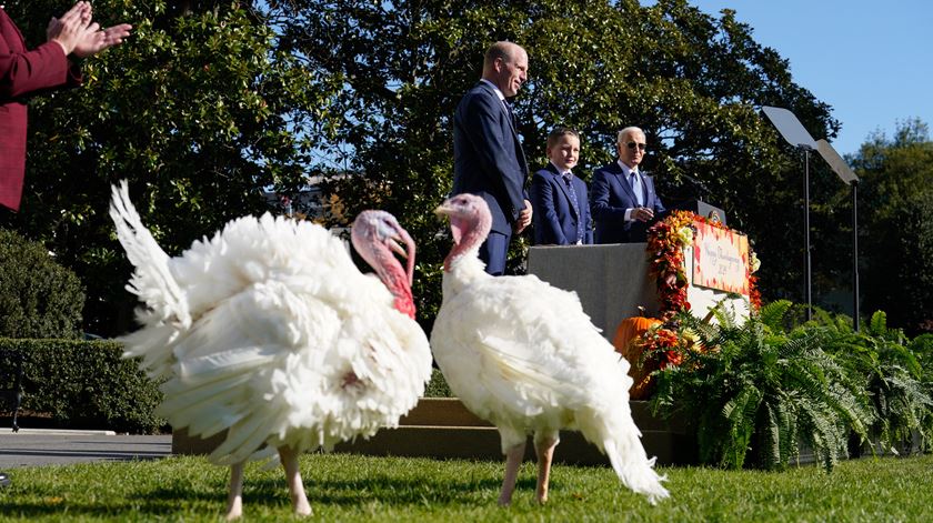 Joe Biden perdoou o peru Peach e o Blossom. Foto: Yuri Gripas/pool/EPA