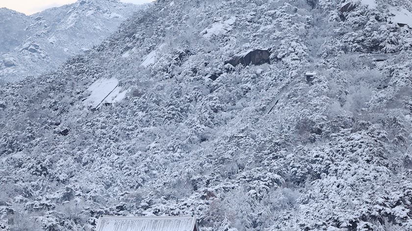 Tempestade de neve Coreia do Sul. Foto: Yonhap/EPA
