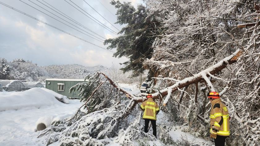 Tempestade de neve Coreia do Sul. Foto: Jinan Fire Service/EPA