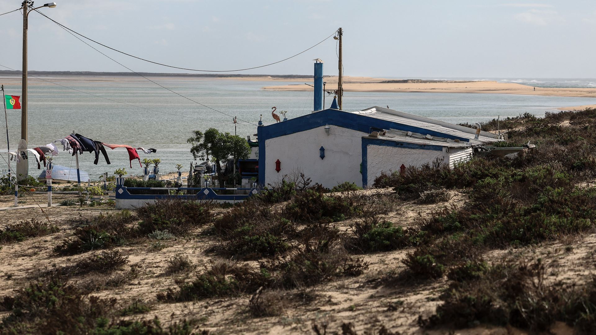Conselheiro nacional do Ambiente pede revogação de