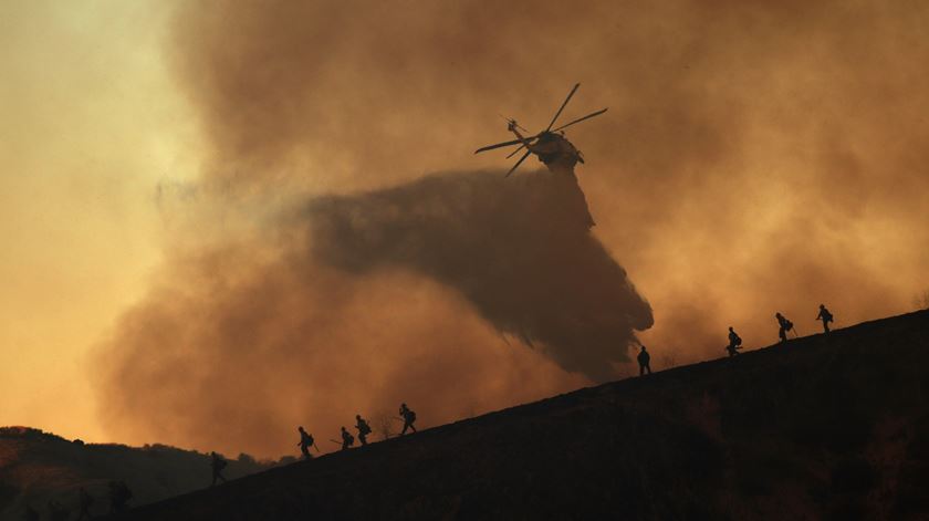 Detido suspeito de atear quatro fogos no concelho de Ourém