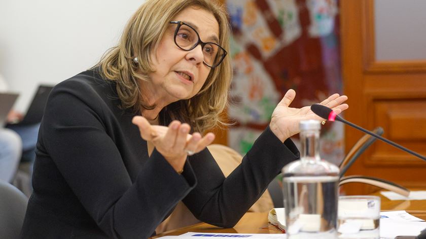 Gémeas. Ana Paula Martins não encontrou evidências de interferência externa