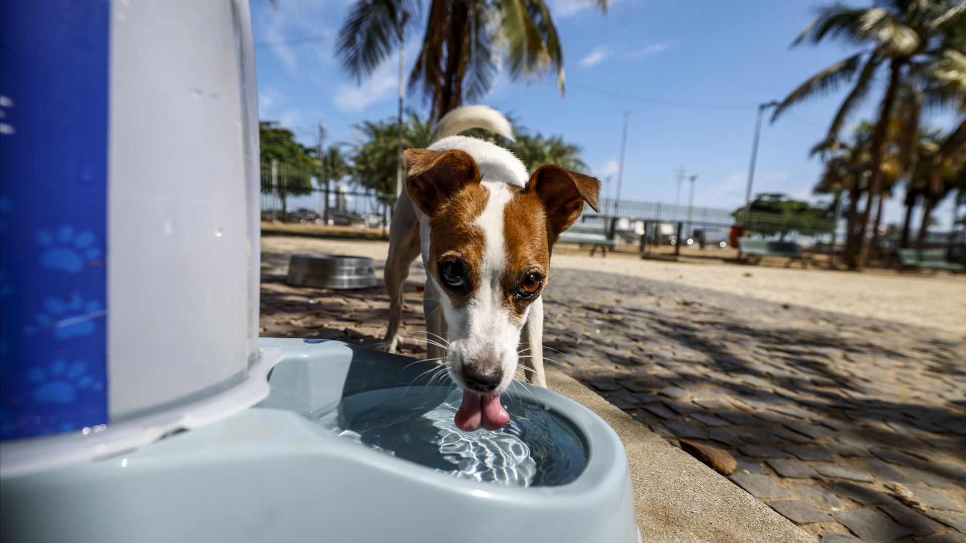 Vêm aí dias de calor. Temperatura vai subir acima dos 30ºC na próxima semana