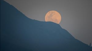 Superlua do Castor será a mais brilhante de 2025 e visível esta quarta-feira