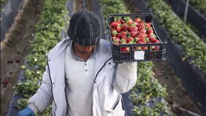 Alterações às leis migratórias descem Portugal no ranking europeu de integração