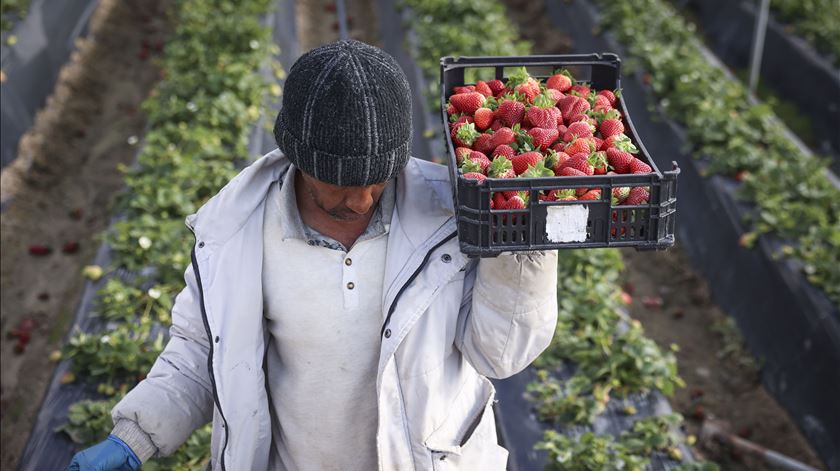 Mão de obra imigrante é nove anos mais jovem do que a portuguesa