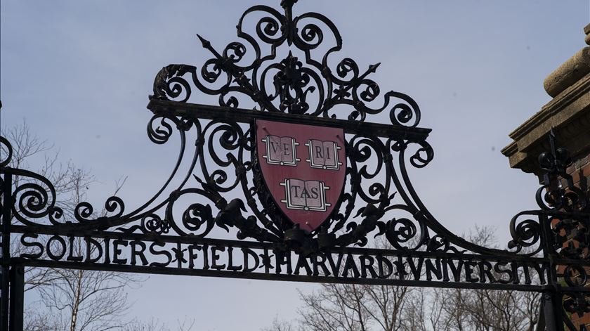 Universidade de Harvard autorizada por juíza a inscrever alunos internacionais