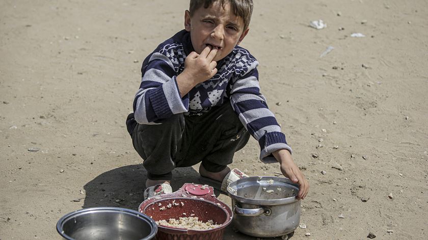 ONU receia morte de 14 mil bebés em Gaza nas próximas 48 horas