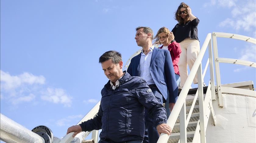 Rosa disse que havia "persistir em" PSD da aliança pré-eleitoral