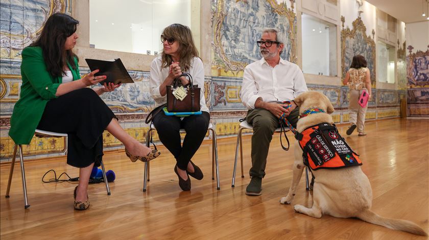 PAN propõe "Lei Teddy" para proibir viagem de animais de companhia no porão dos aviões