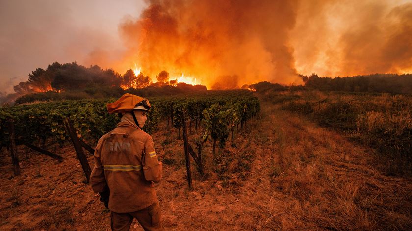Incêndios e calor colocam Portugal em alerta até quinta-feira: o que é proibido e o que não é?
