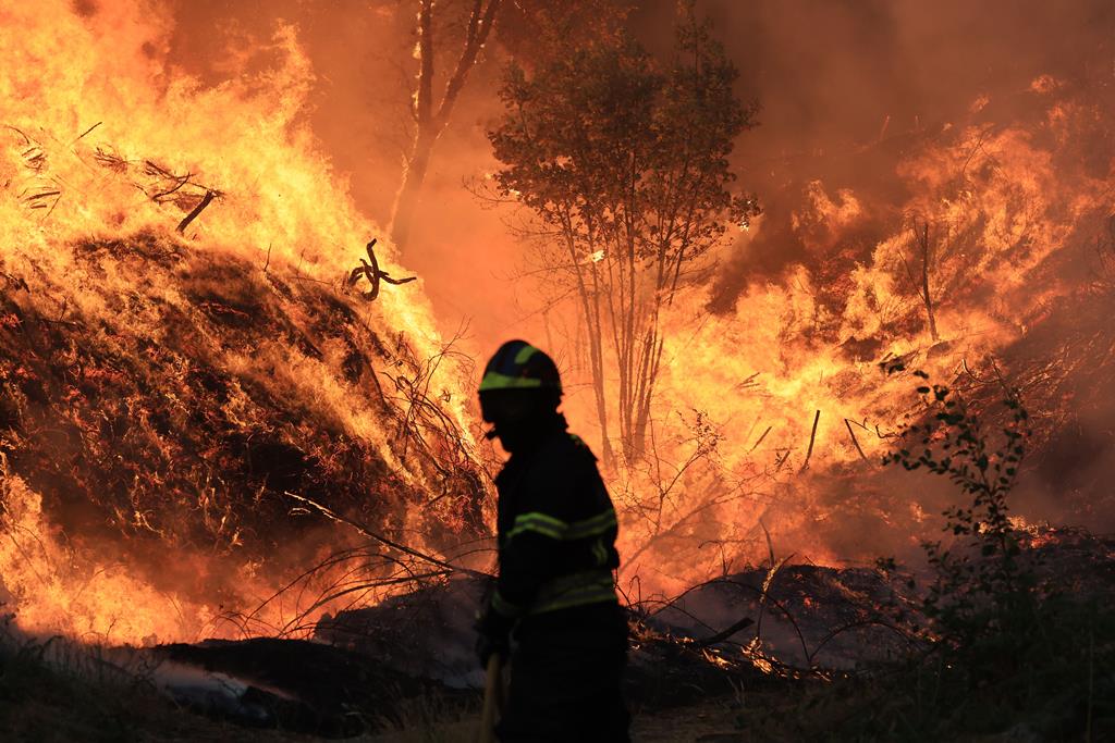 "Se não estivéssemos a apagar, já tinha ardido tudo". População combate os fogos em Castelo de Paiva