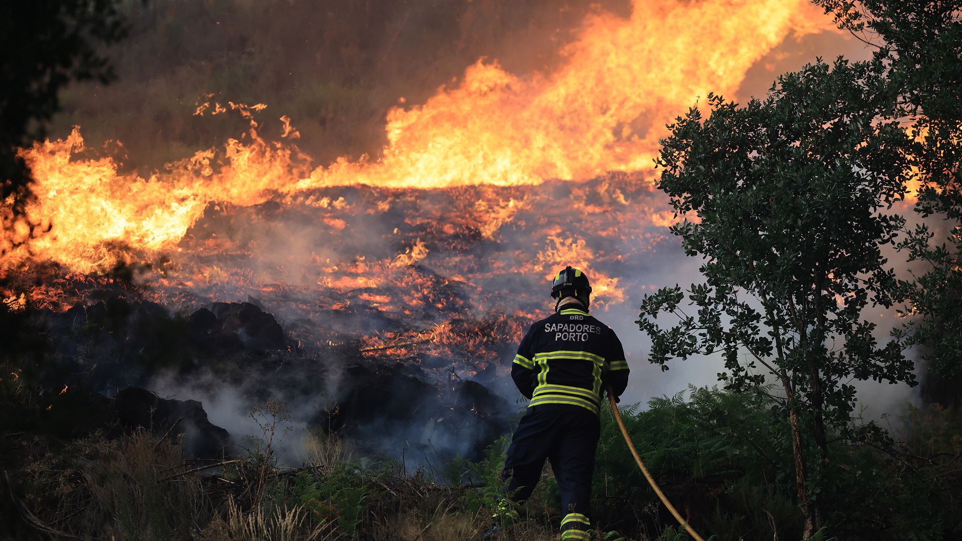Fogo consumiu mais de 75 mil hectares no Parque Nacional da Peneda-Gerês