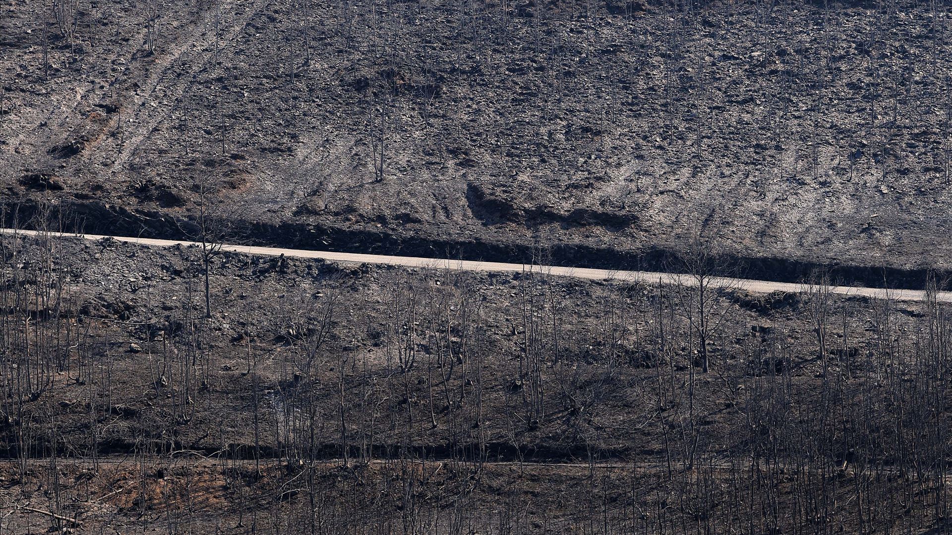 Governo quer agravar penas para incendiários