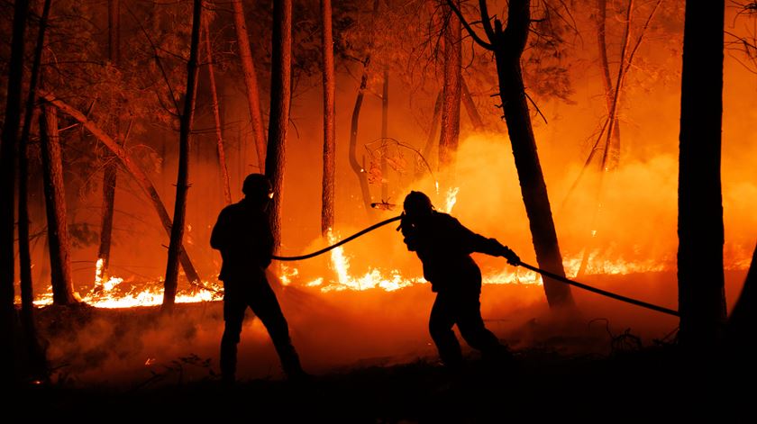 Incêndio em Castro Daire mobiliza 459 operacionais